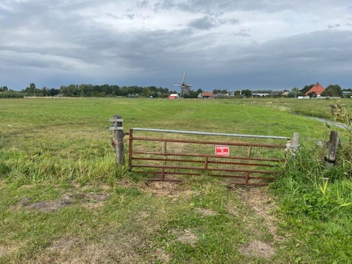 Weidegang met schuilstalletje, Dieren en Toebehoren, Stalling en Weidegang, Weidegang, 2 of 3 paarden of pony's