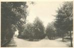 (387-234-017) Ermelo Driesprong Horsterweg, Verzenden, Gelderland