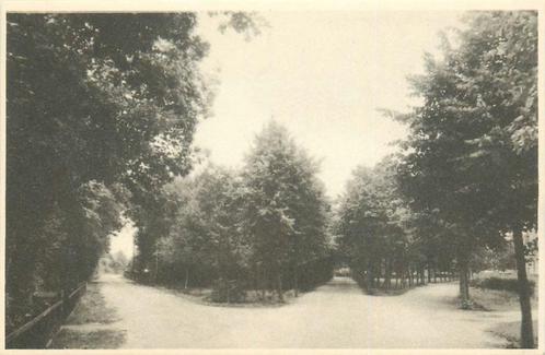 (387-234-017) Ermelo Driesprong Horsterweg, Verzamelen, Ansichtkaarten | Nederland, Gelderland, Verzenden