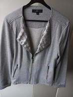 Vest Anna Scott maat XXL met pailletten, Grijs., Kleding | Dames, Maat 46/48 (XL) of groter, Anna Scott, Ophalen of Verzenden