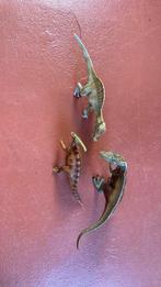 Dino’s van Schleich, Verzamelen, Ophalen of Verzenden, Zo goed als nieuw