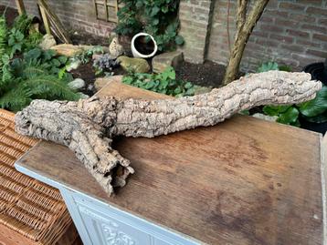 Kurk hout Terrarium decoratie beschikbaar voor biedingen