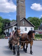 Hotel Duitsland unieke ligging, Kirchheim, Duitsland, Verkoop zonder makelaar, 28 kamers