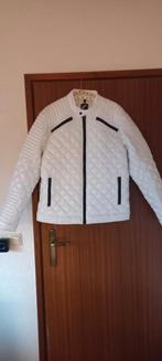 Coolcat jas wit xxl nieuw, Wit, Nieuw, Overige maten, Ophalen of Verzenden