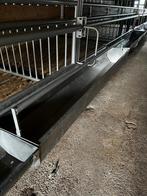 RVS hokinrichting witvleeskalveren, Dieren en Toebehoren, Stalling en Weidegang