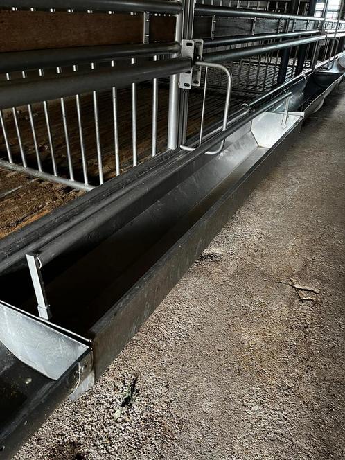 RVS hokinrichting witvleeskalveren, Dieren en Toebehoren, Stalling en Weidegang