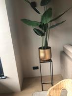 Zgan mooie kunst strelitzia plant met gouden pot, Ophalen of Verzenden, Zo goed als nieuw