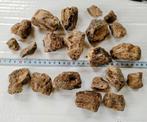 Sumatra Amber met houtstructuur zeldzaam, Ophalen of Verzenden, Fossiel
