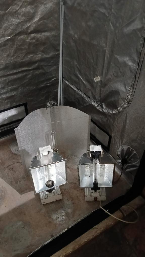 kweektent plus accesoires., Tuin en Terras, Kweekspullen, Gebruikt, Kweektent, Ophalen