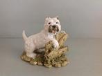 Hond op plateau West Highland White Terriër, Ophalen of Verzenden, Zo goed als nieuw, Dier