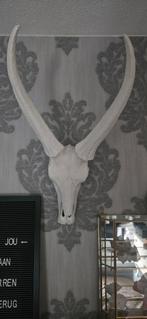 PTMD Buffelkop wit, Huis en Inrichting, Woonaccessoires | Wanddecoraties, Ophalen of Verzenden, Nieuw