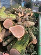 Haardhout te koop 20m3 35euro per m3. Coniferen + kastanje, Tuin en Terras, Haardhout, Minder dan 3 m³, Ophalen, Overige houtsoorten
