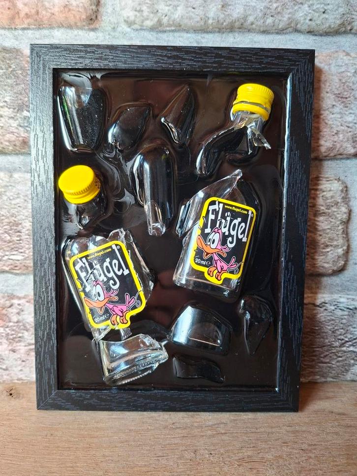 Flugels flesjes verwerkt in een lijst met Epoxy, Antiek en Kunst, Kunst | Schilderijen | Modern, Ophalen of Verzenden