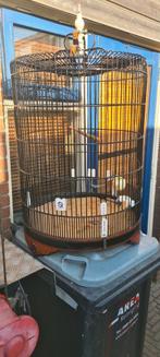 Schamalijster kooi, Dieren en Toebehoren, Ophalen, Zo goed als nieuw, Metaal, Vogelkooi