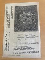 Voetbalhistorie Quick 1888 (Nijmegen) diverse memorabilia, Verzamelen, Tijdschriften, Kranten en Knipsels, Ophalen of Verzenden