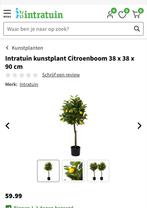 Kunst Citroenboom - Sfeervolle Decoratie, Huis en Inrichting, Ophalen of Verzenden, Nieuw, Binnen