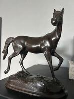 Beeld paard, Ophalen of Verzenden