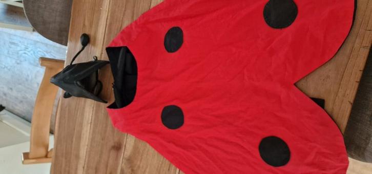 Verkleedpak lieveheersbeestje one size, Kinderen en Baby's, Carnavalskleding en Verkleedspullen, Zo goed als nieuw, Jongen of Meisje