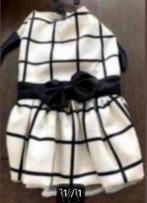 Jurkje merk ispett, Dieren en Toebehoren, Hondenkleding, Ophalen of Verzenden, Nieuw, Hondenjurk