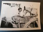 100%orig wo2foto vluchteling+ ezel in kar op de vlucht besch, Ophalen of Verzenden, Nederland