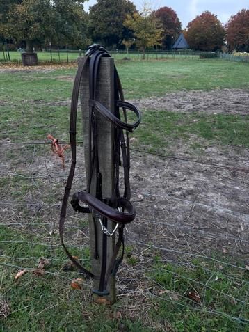 bruin hoofdstel full beschikbaar voor biedingen