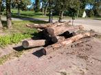 Stammen te koop, Tuin en Terras, Haardhout, 3 tot 6 m³, Ophalen, Overige houtsoorten, Stammen