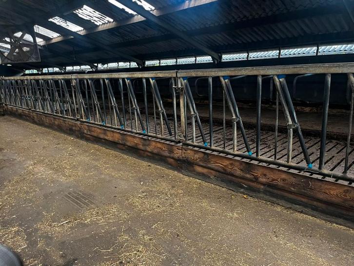 Ligbox, Voerhek, Schoftboom stalinrichting., Dieren en Toebehoren, Stalling en Weidegang