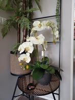 Prachtige kunst Orchidee in Pot, Huis en Inrichting, Ophalen of Verzenden, In pot, Halfschaduw, Minder dan 100 cm
