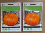 Pompoen zaadjes zaden pompoenen ~ Etampes, Tuin en Terras, Ophalen of Verzenden, Volle zon