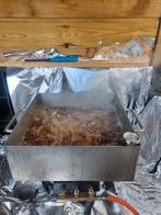 RVS Visbakpan - Perfect voor de hobbykok!, Gebruikt, Onbekend, Ophalen of Verzenden, Gas