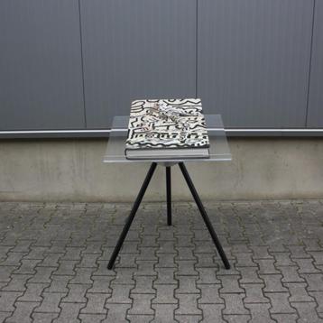 Annie Leibovitz Limited Edition Keith Haring | Taschen  beschikbaar voor biedingen