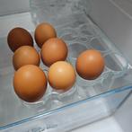 Bio eieren,kakel vers, a 48 cent,dagraap, Verzenden