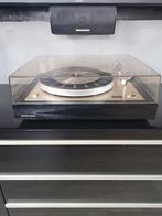 Aristona (408 Philips), Ophalen of Verzenden, Philips