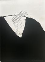 Zeefdruk Rob Schotman, Antiek en Kunst, Kunst | Litho's en Zeefdrukken, Verzenden