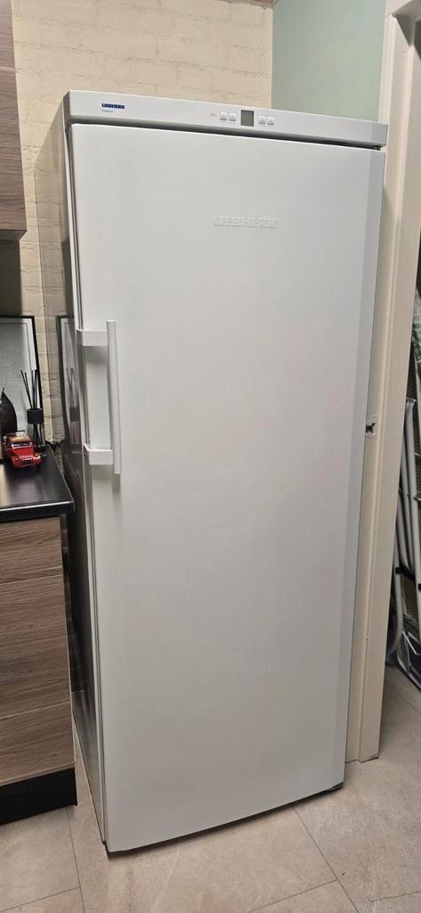 Liebherr vriezer - Comfort, Witgoed en Apparatuur, Vriezers en Diepvrieskisten, Zo goed als nieuw, 160 cm of meer, 60 tot 90 cm