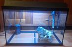 aquarium Juwel 60 liter, Dieren en Toebehoren, Vissen | Aquaria en Toebehoren, Ophalen, Zo goed als nieuw, Leeg aquarium
