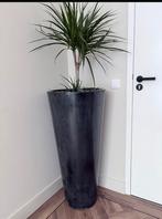 Grote metalen bloempot, Tuin en Terras, Bloempotten, Ophalen, Rond, Zo goed als nieuw, Minder dan 25 cm
