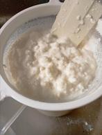 Melk kefir korrels ., Ophalen of Verzenden