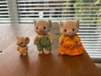 Sylvanian Families Olifant Familie - Set 5376, Ophalen of Verzenden, Zo goed als nieuw, Overige typen