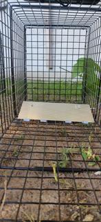 marterval, Ophalen of Verzenden, Nieuw, Ongediertebestrijding