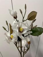 Magnolia takken mooie kwaliteit, Ophalen of Verzenden, Zo goed als nieuw