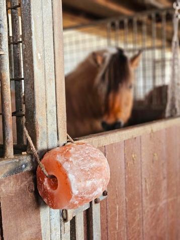 Himalaya Zout Liksteen 4,5 - 5,5 kilo beschikbaar voor biedingen