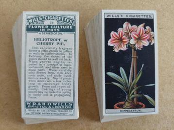 Flower Culture in Pots complete set 50 cigarette cards 1925 beschikbaar voor biedingen