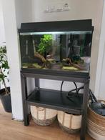 Aquarium incl veel toebehoren, Ophalen, Zo goed als nieuw