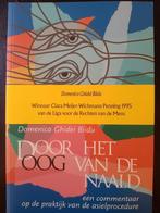 Door het oog van de naald - Domenica Ghidei Bildu, Boeken, Politiek en Maatschappij, Nieuw, Nederland, Maatschappij en Samenleving