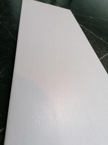 WANDTEGELS WIT DESIGN 20x50 cm - restpartij 3,10 m2 beschikbaar voor biedingen