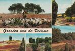 VELUWE EDE Kudde Heide Groeten (Gekartelde Rand), Verzenden, 1960 tot 1980, Ongelopen, Gelderland