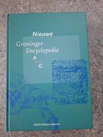 Nieuwe Groninger encyclopedie 3- delig, Complete serie, Ophalen of Verzenden, Zo goed als nieuw, Algemeen