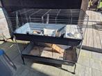 Mooie flat voor cavia's of kleine konijnen, Ophalen, Cavia, 90 cm of meer, Hok