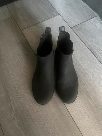 Jodhpurs beschikbaar voor biedingen